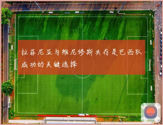 拉菲尼亚与维尼修斯共存是巴西队成功的关键选择